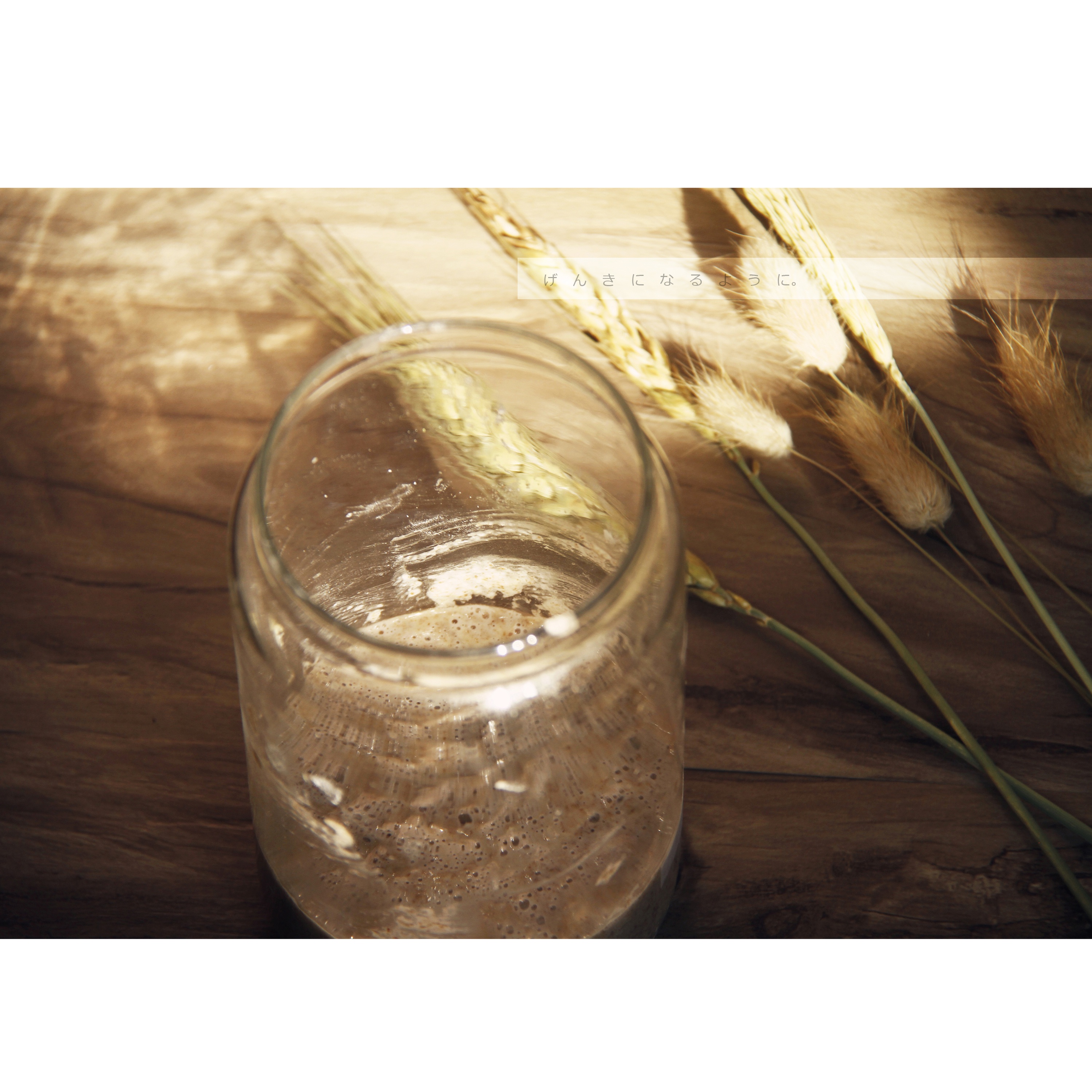 天然酵种养成记