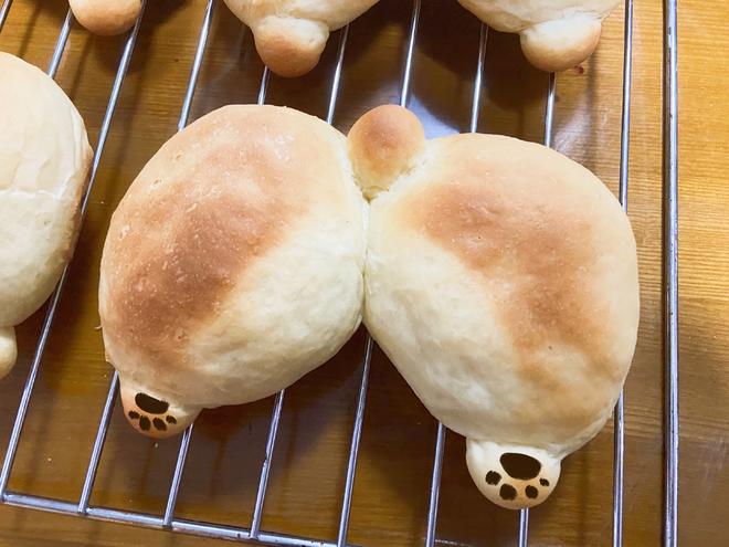 手揉006➡️可爱满分的柯基PP面包的做法