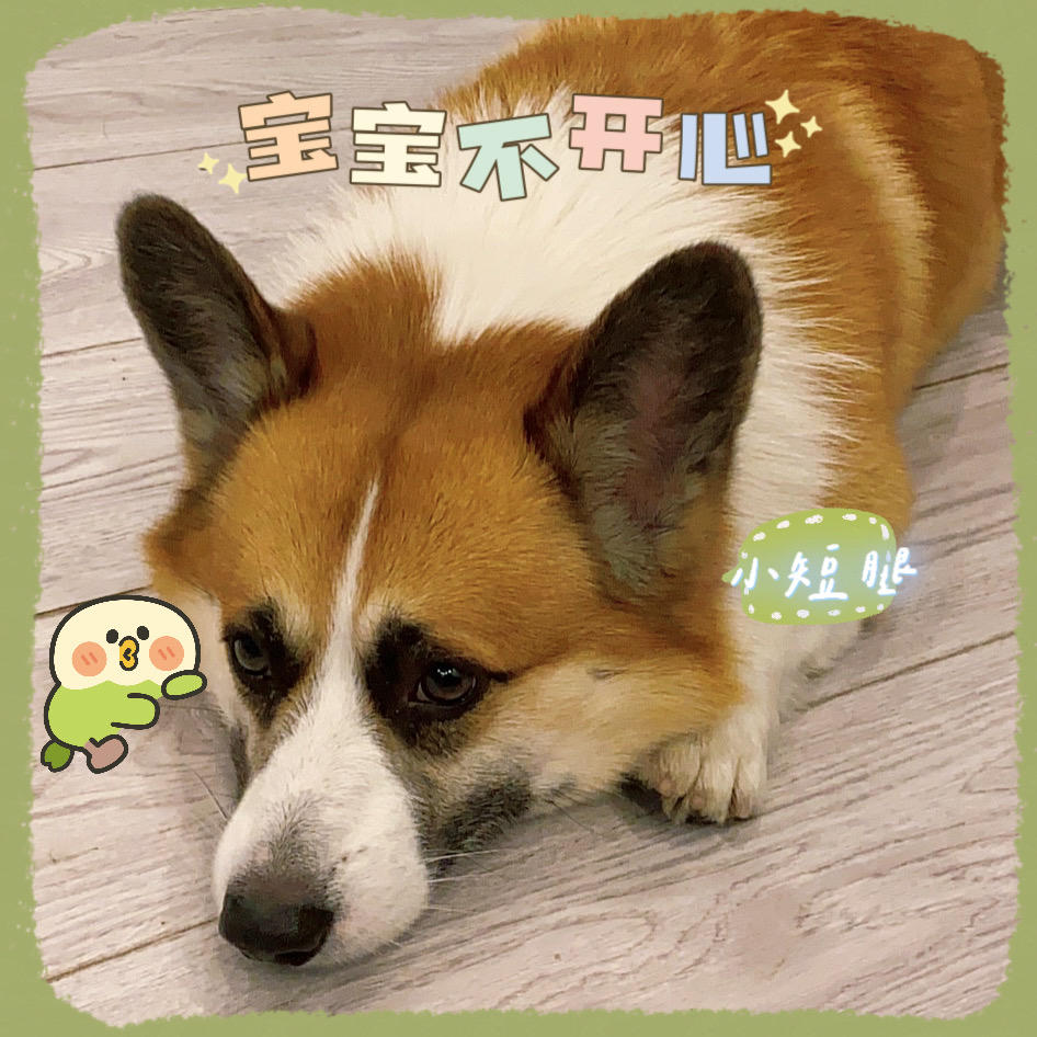彭大眼就是我