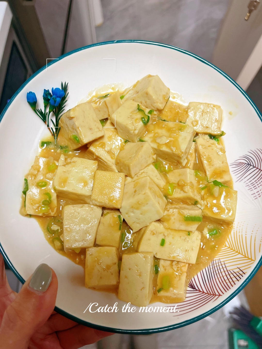 不放肉也超下饭的葱焖豆腐