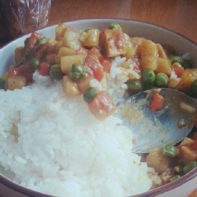 素咖喱饭