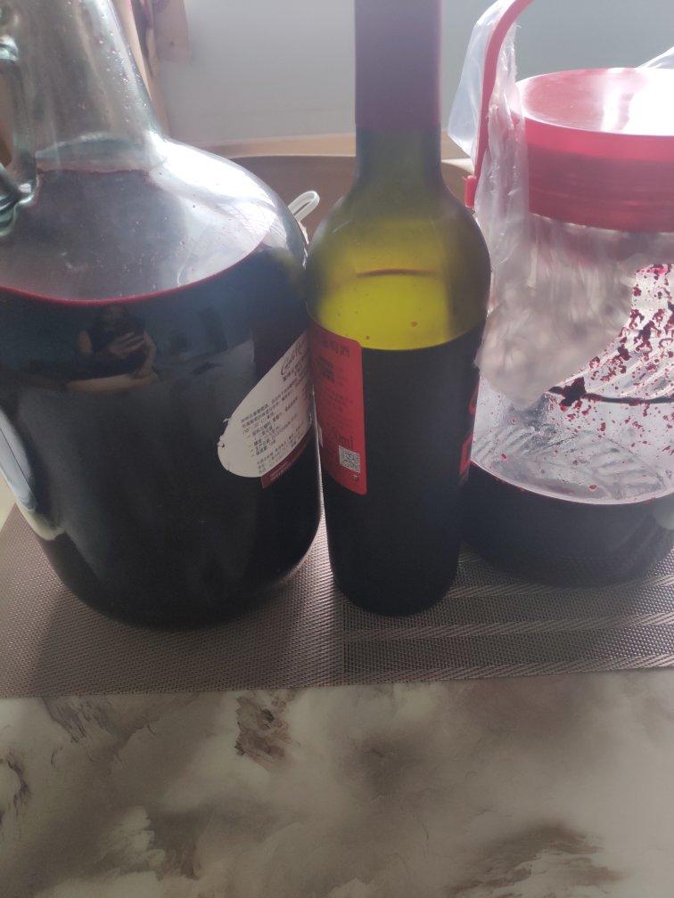 自酿桑果酵素
