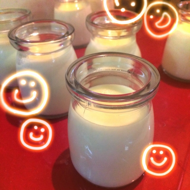 重口味的榴莲布丁