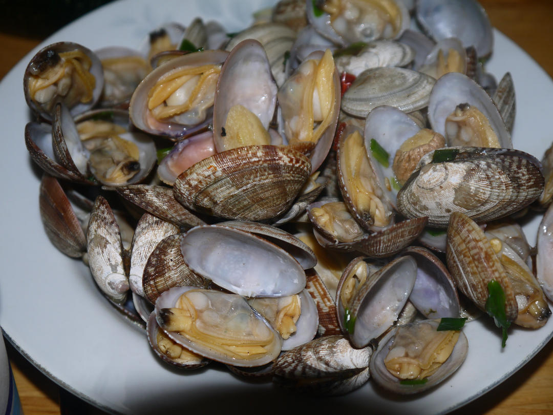 午餐•2023年2月7日