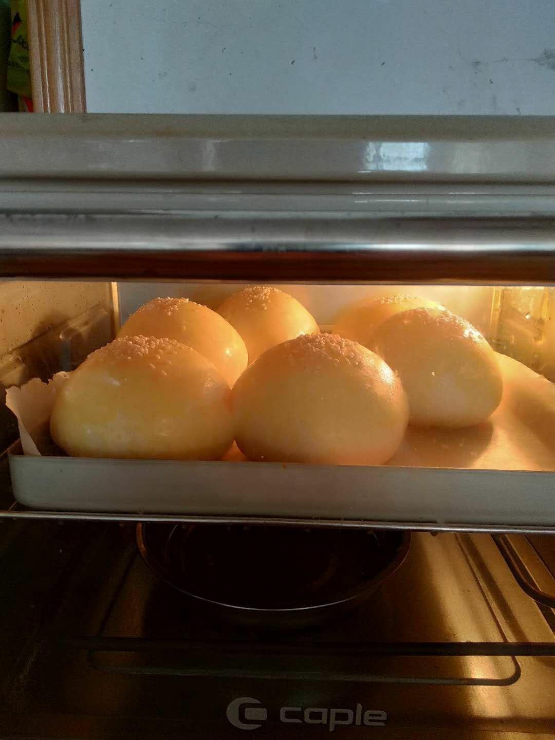 汉堡胚 poolish（波兰种）