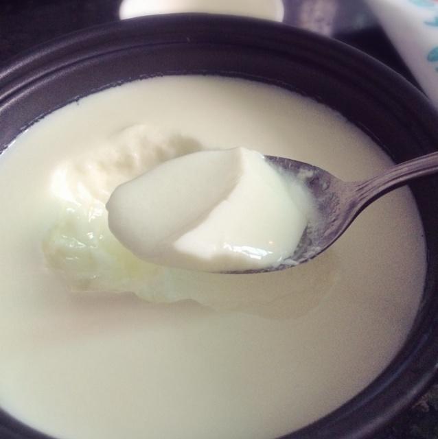 自制希腊低脂酸奶的做法