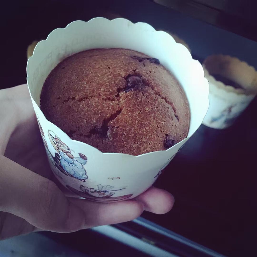 浓情巧克力摩卡马芬<Chocolate Espresso Muffins>