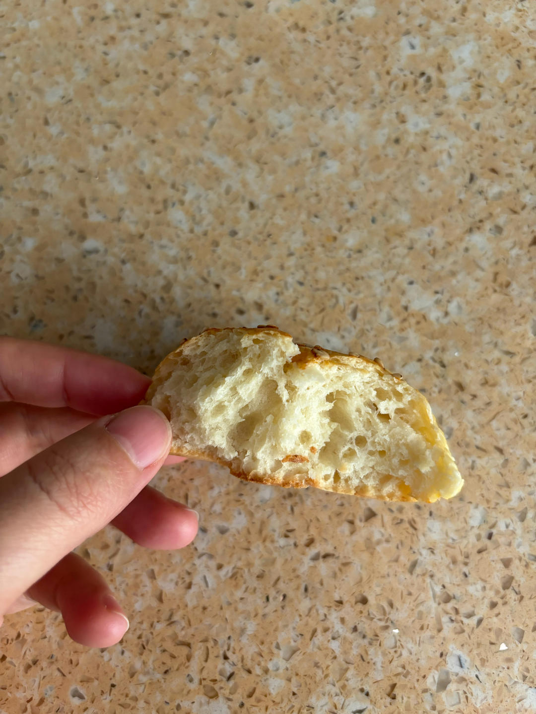 会拉丝的奶香小餐包‼️波兰种配方