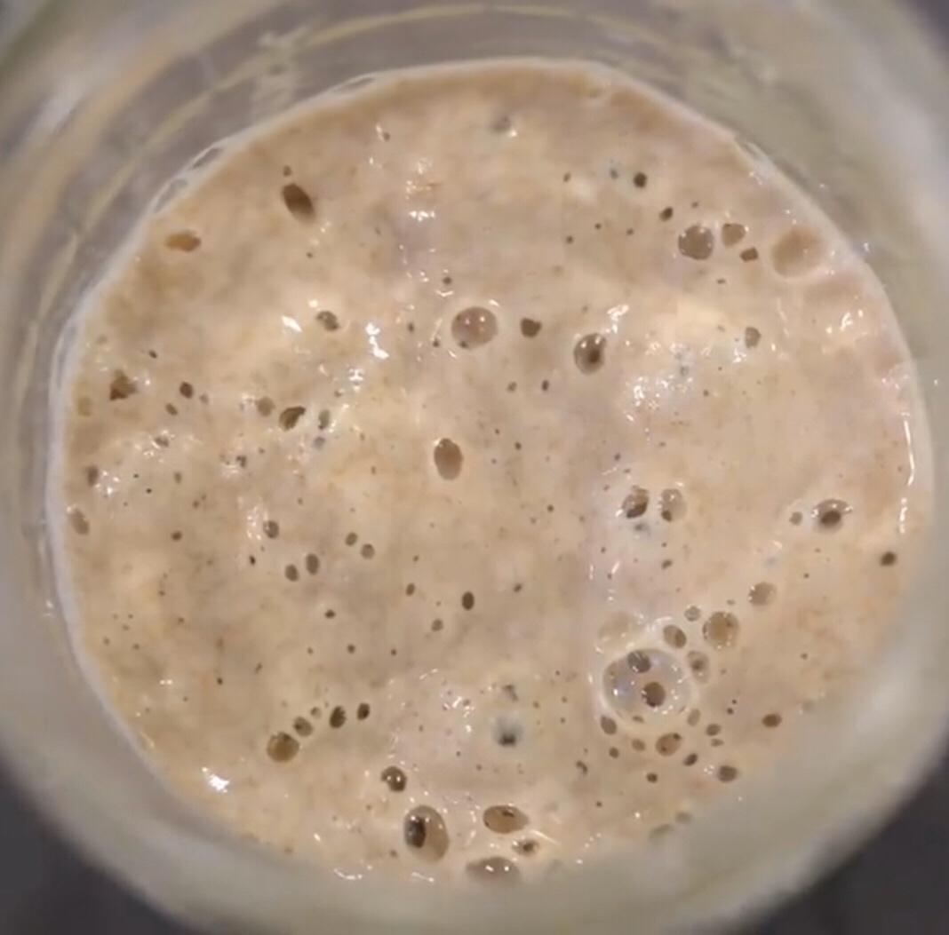 老面酵种的做法