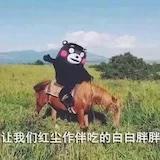 啵啵bobo是菠萝