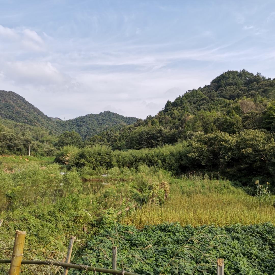 大闸蟹炒饭