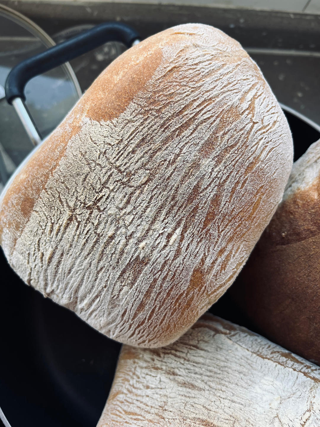 高水量恰巴塔【鲁邦种】