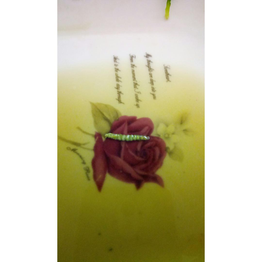 晚餐•2017年1月13日