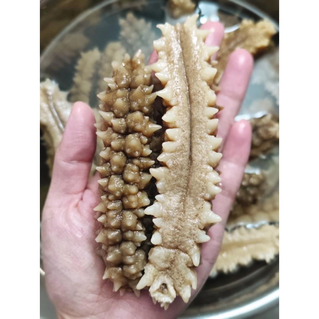 印尼野生黄金刺参的泡发方法