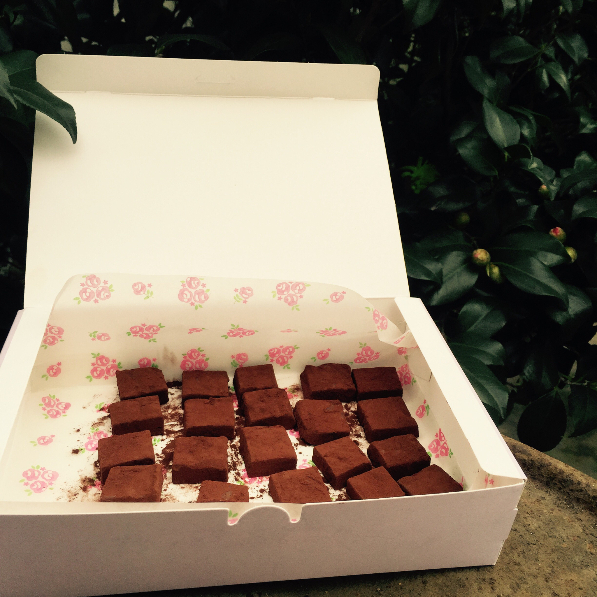 小嶋老师的生巧克力