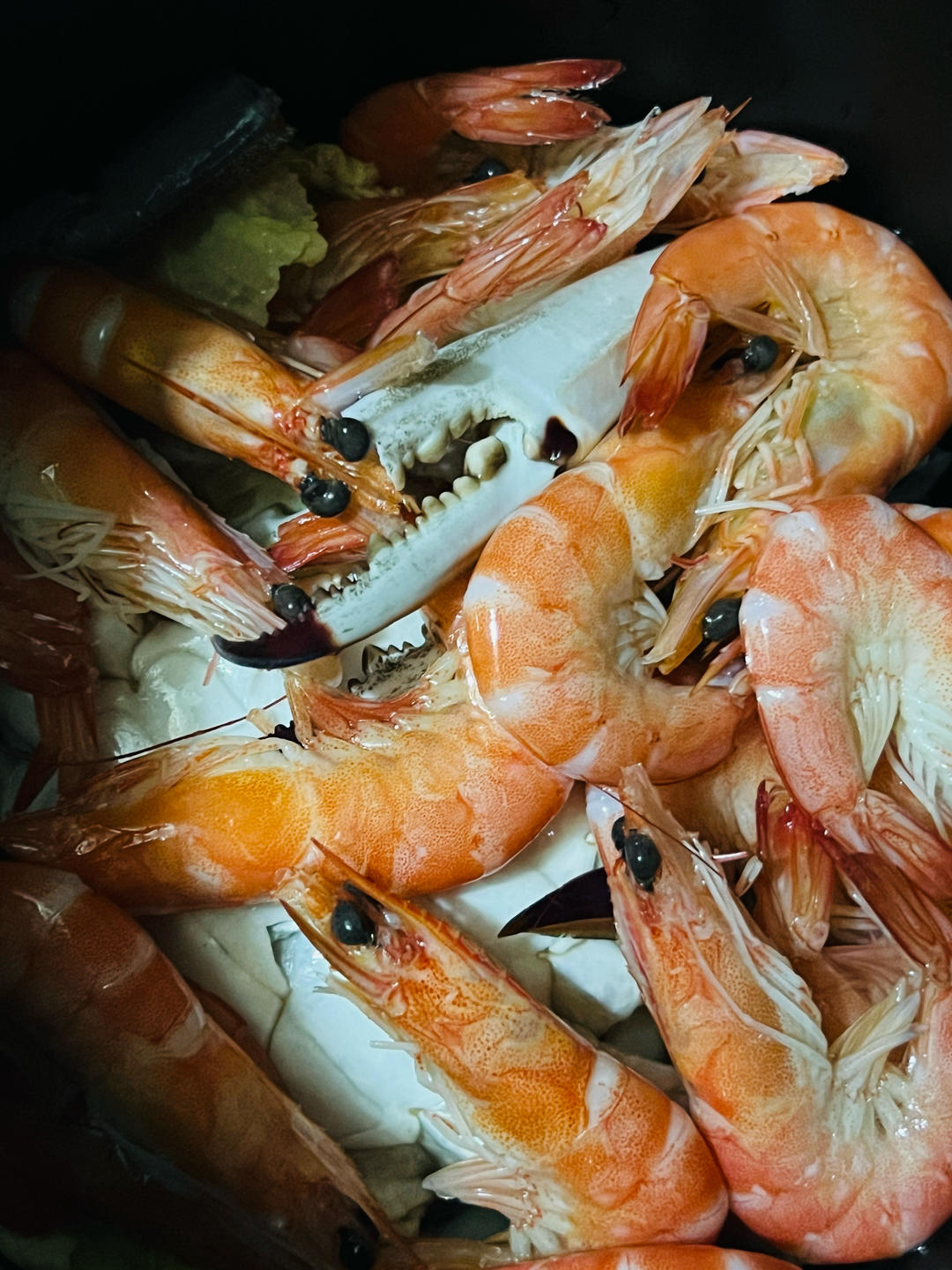 鲜掉眉毛的🔥梭子蟹正确打开方式（无水无油清蒸做法）