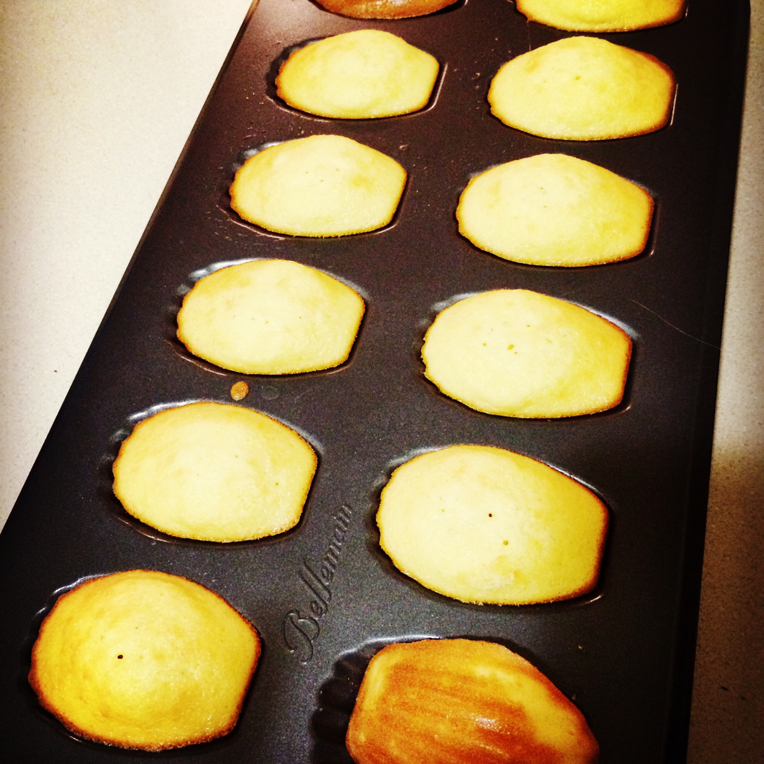 玛德琳（蓝带方）