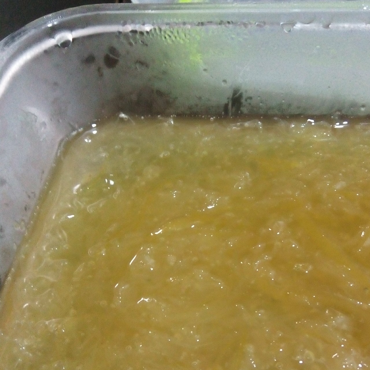 蜂蜜柚子茶