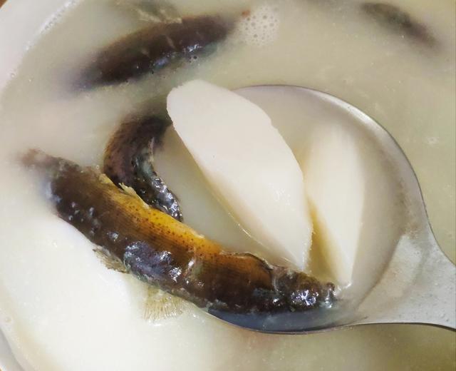 健脾祛湿补虚泥鳅汤的做法
