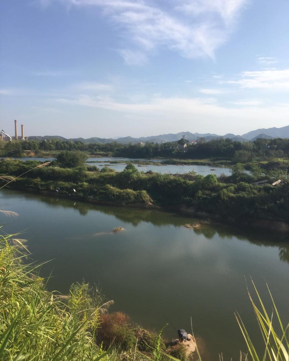辣椒鸡蛋