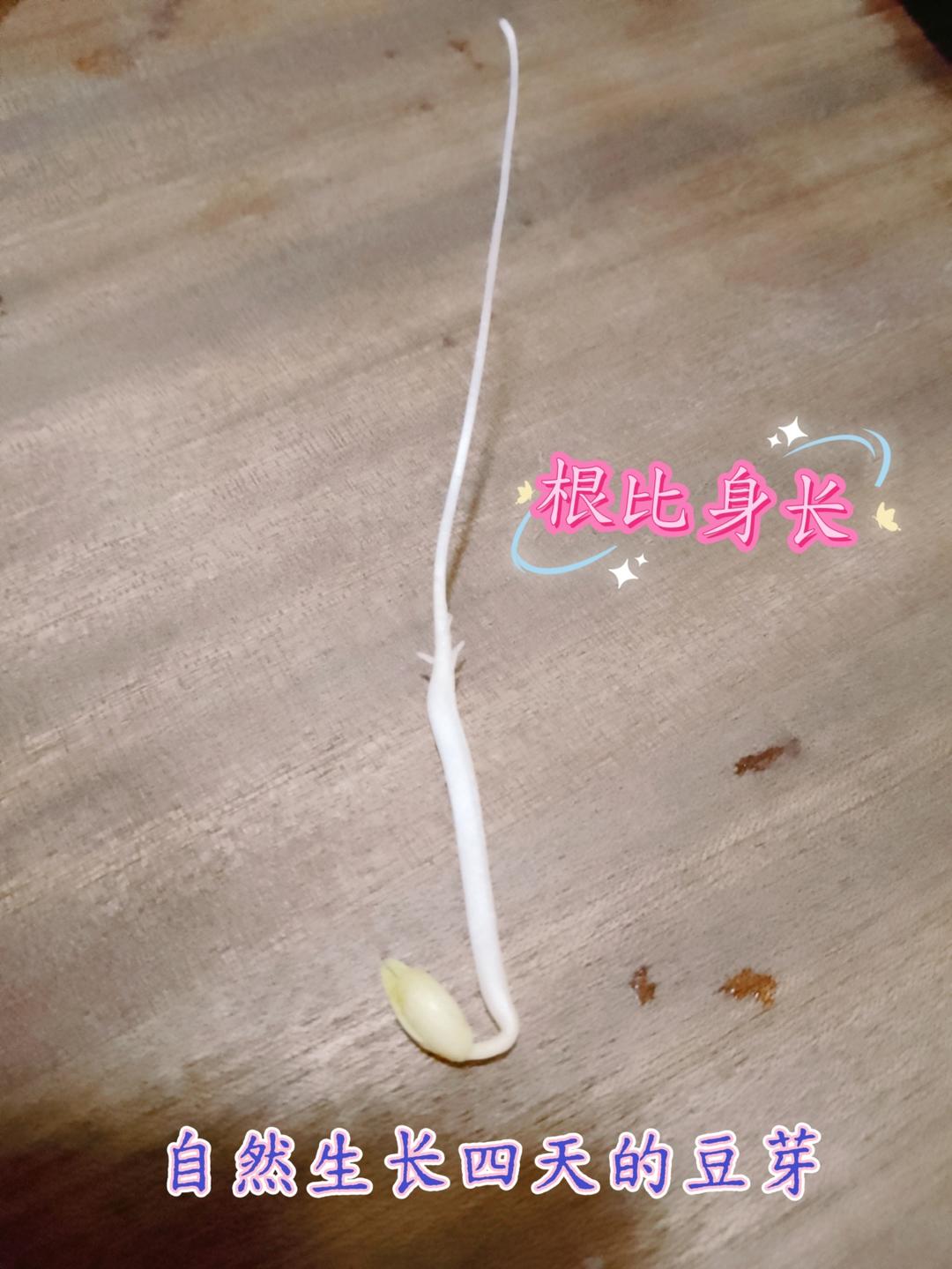 绿豆芽自制的健康