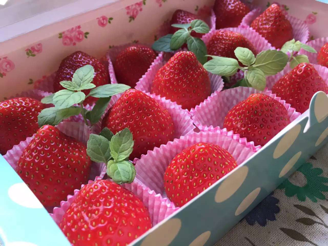 今冬第一颗草莓