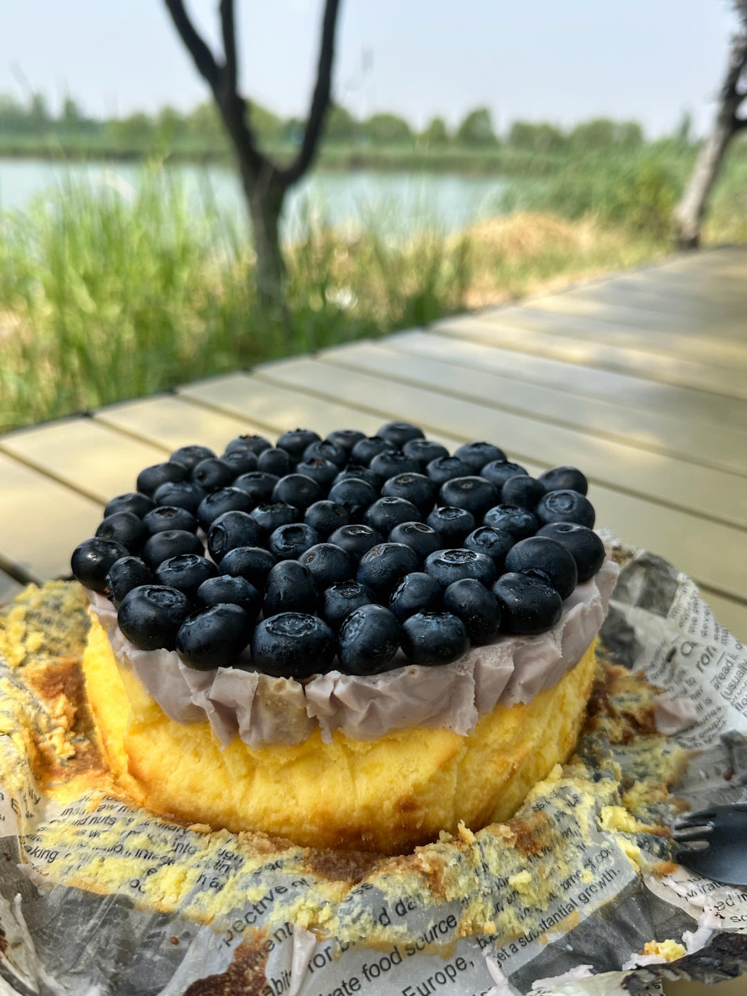 蓝莓慕斯巴斯克