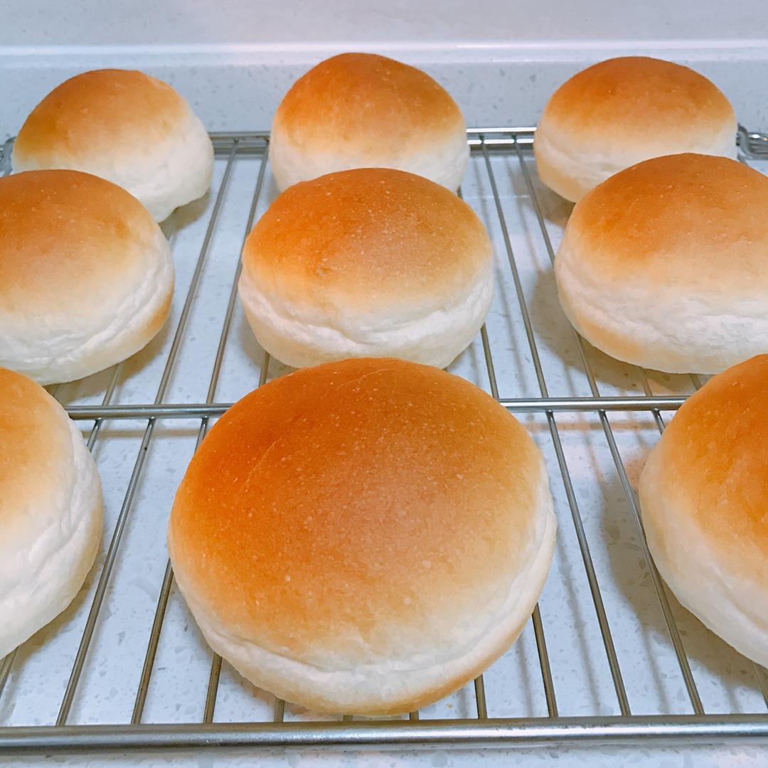 汉堡胚（中种法）