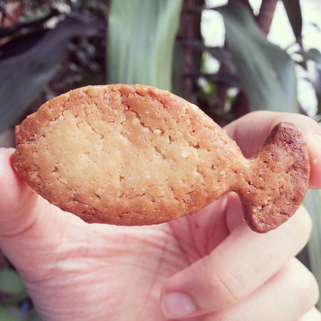 Domo-Kun Jam Cookies❤Domo-Kun果酱曲奇