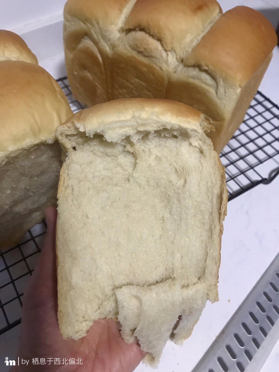 椰乳拿铁吐司｜醇香绵软 咖啡控必做