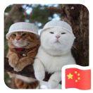 妞妞的巧克力