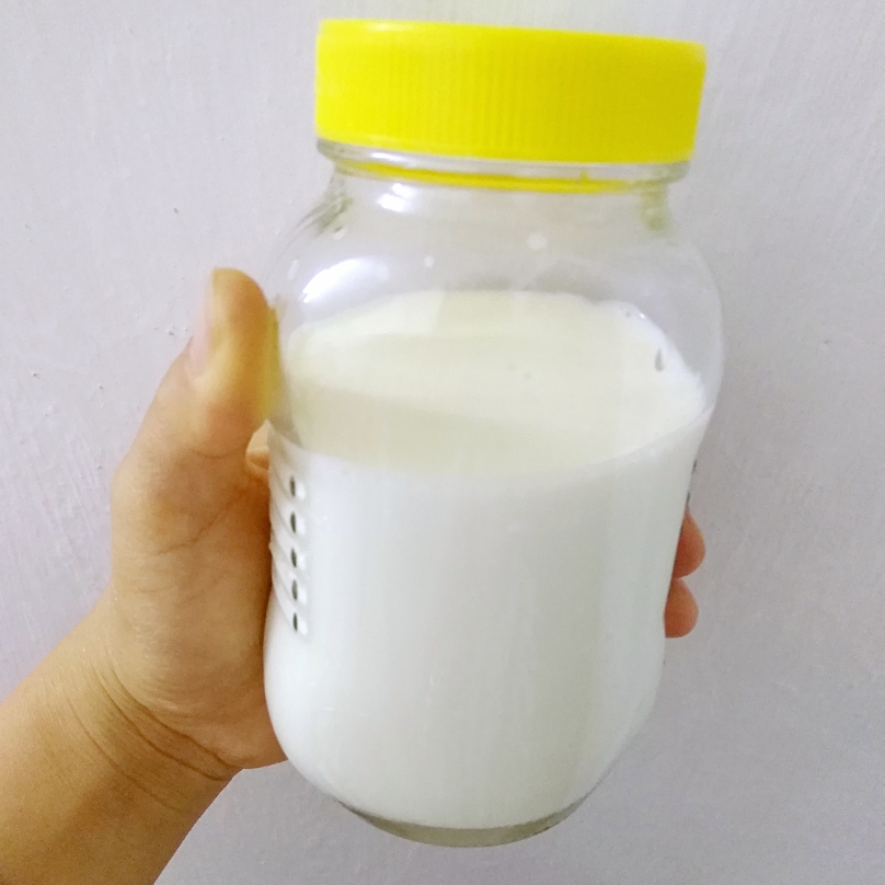 自制希腊酸奶 过滤 西藏灵菇 天山雪莲菌的做法 步骤2