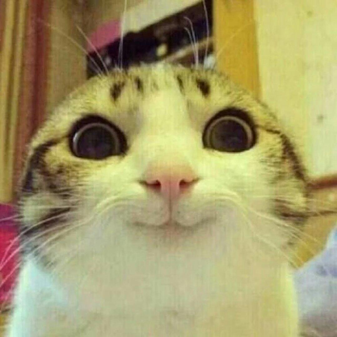 手机用户5676_zcxg