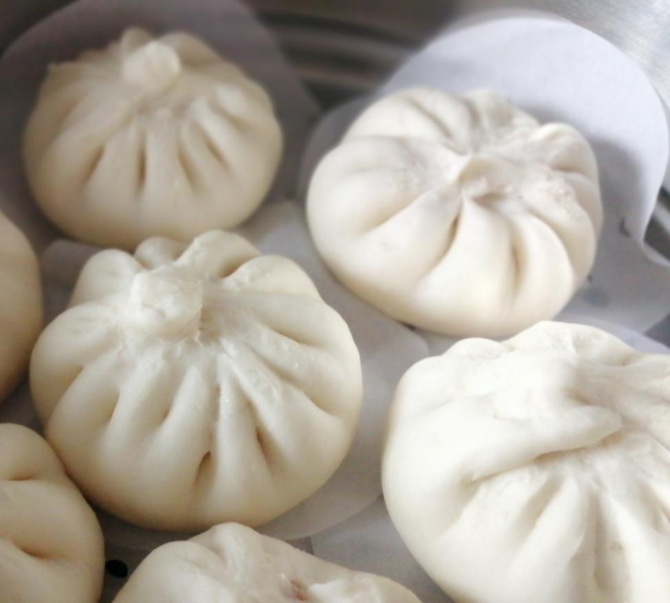 一次发酵肉包子