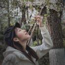 晴天的阳光花园