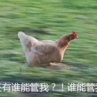 瑶瑶家主厨