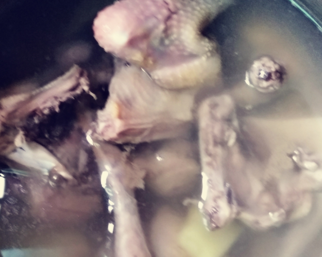 姬松茸乳鸽汤的做法 步骤2