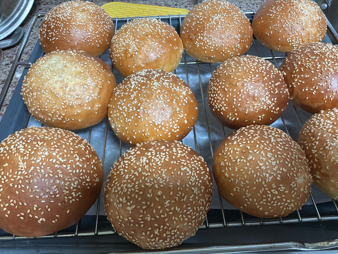 汉堡包🍔坯（汤种法）