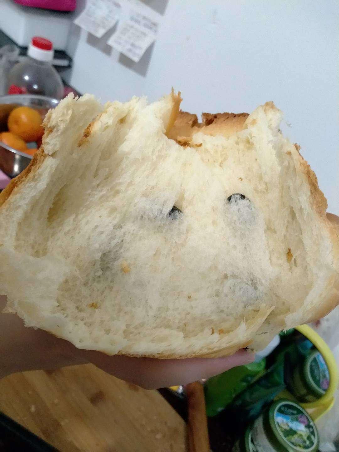 夺命软吐司(๑´ڡ`๑)超软拉丝极速方便的一次发酵吐司