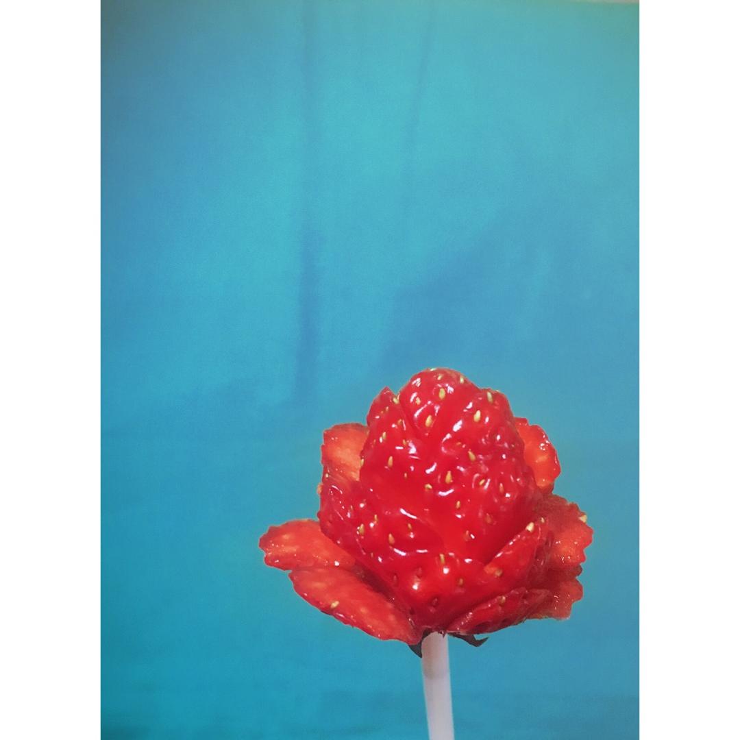 草莓玫瑰