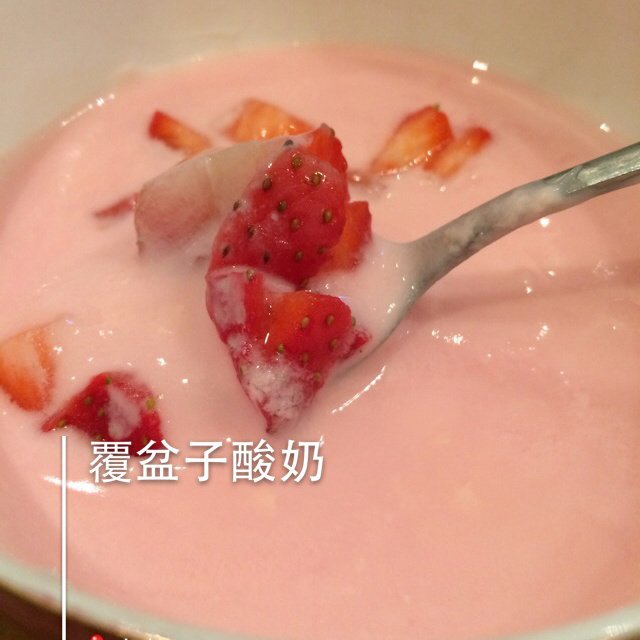 自制酸奶