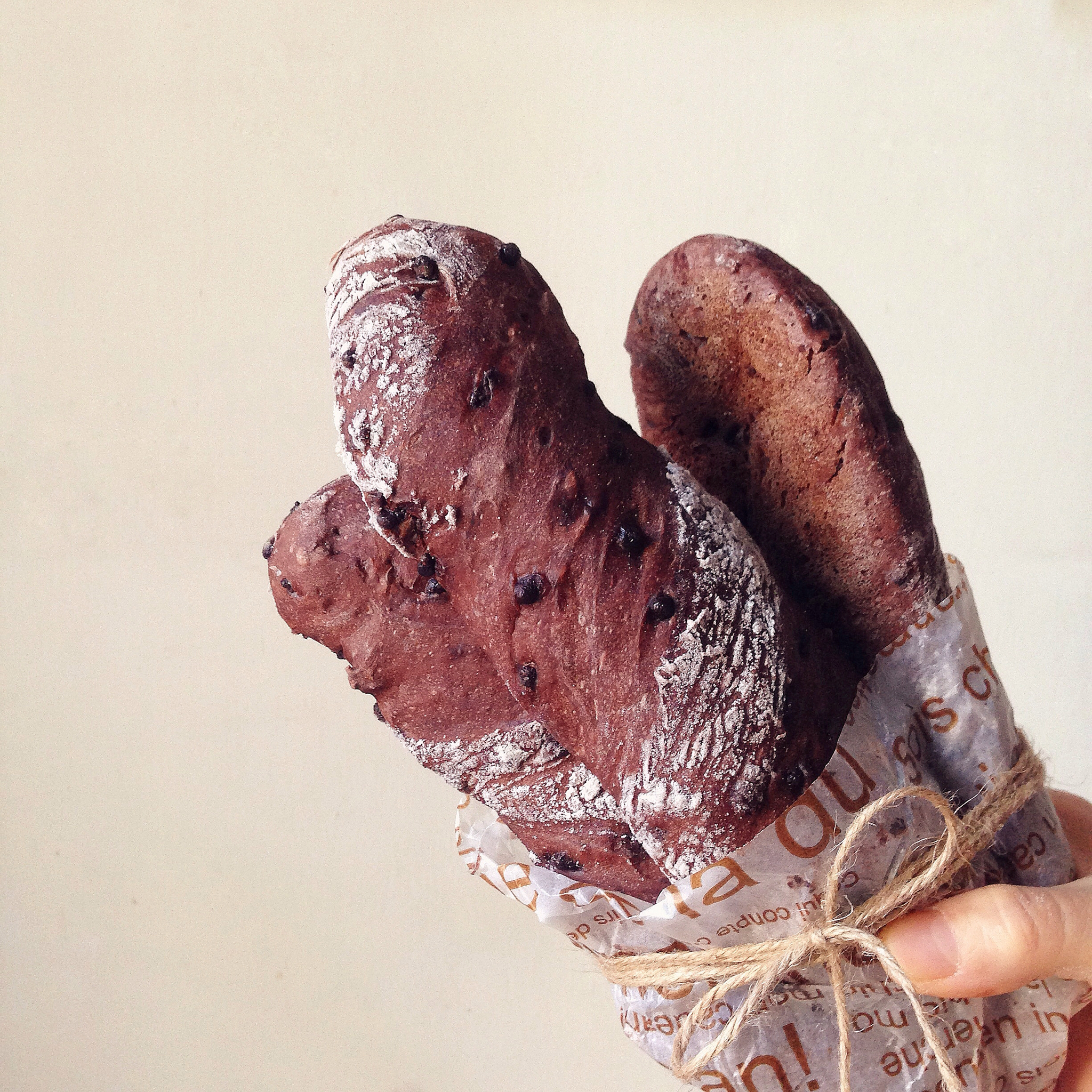 米歇尔可可面包（林大厨的手拌巧克力面包）