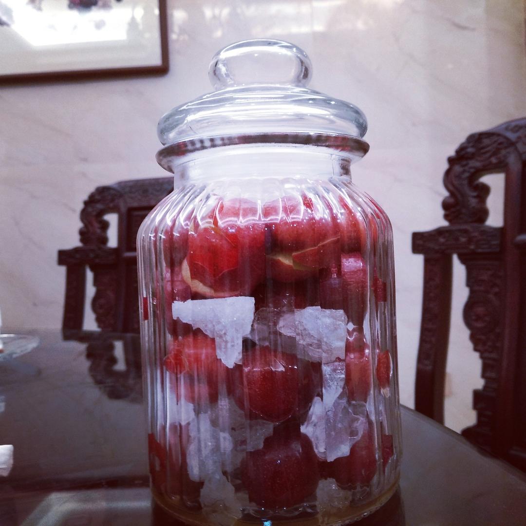 吴端仪-做的自酿李子酒