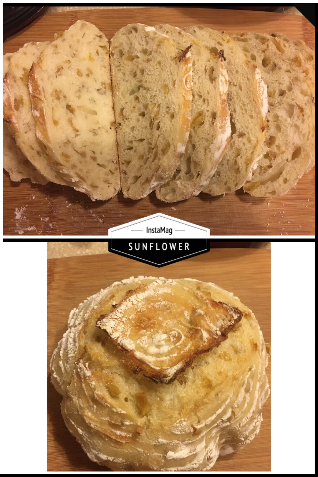 免揉芒果干面包