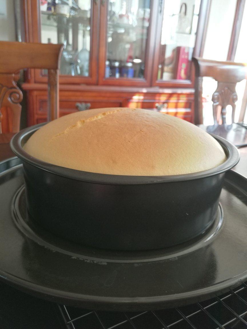 简易蛋糕(胚），拯救屡败星人（8寸）