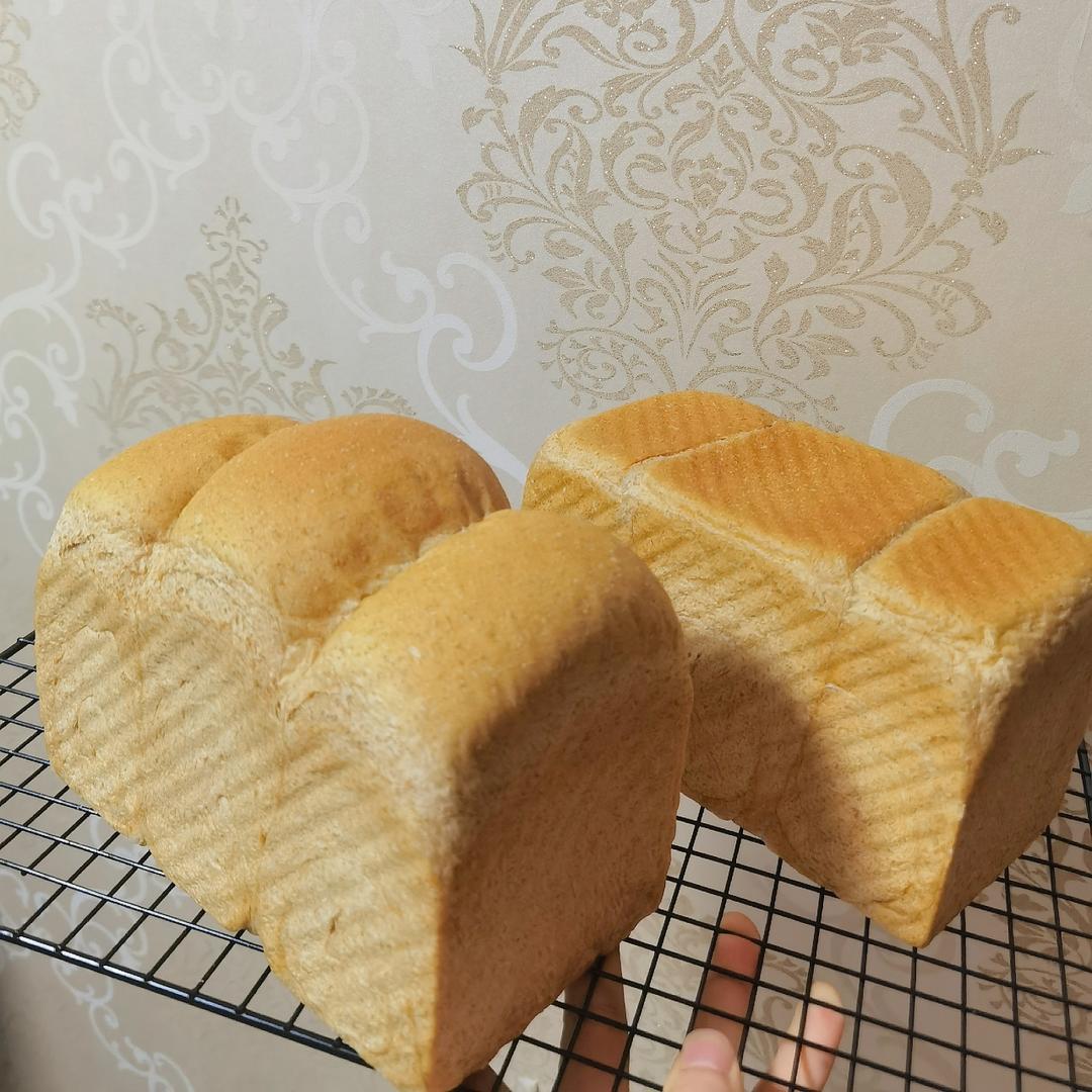 全麦吐司