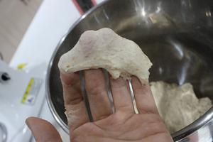 全麦松软小面包的做法 步骤4