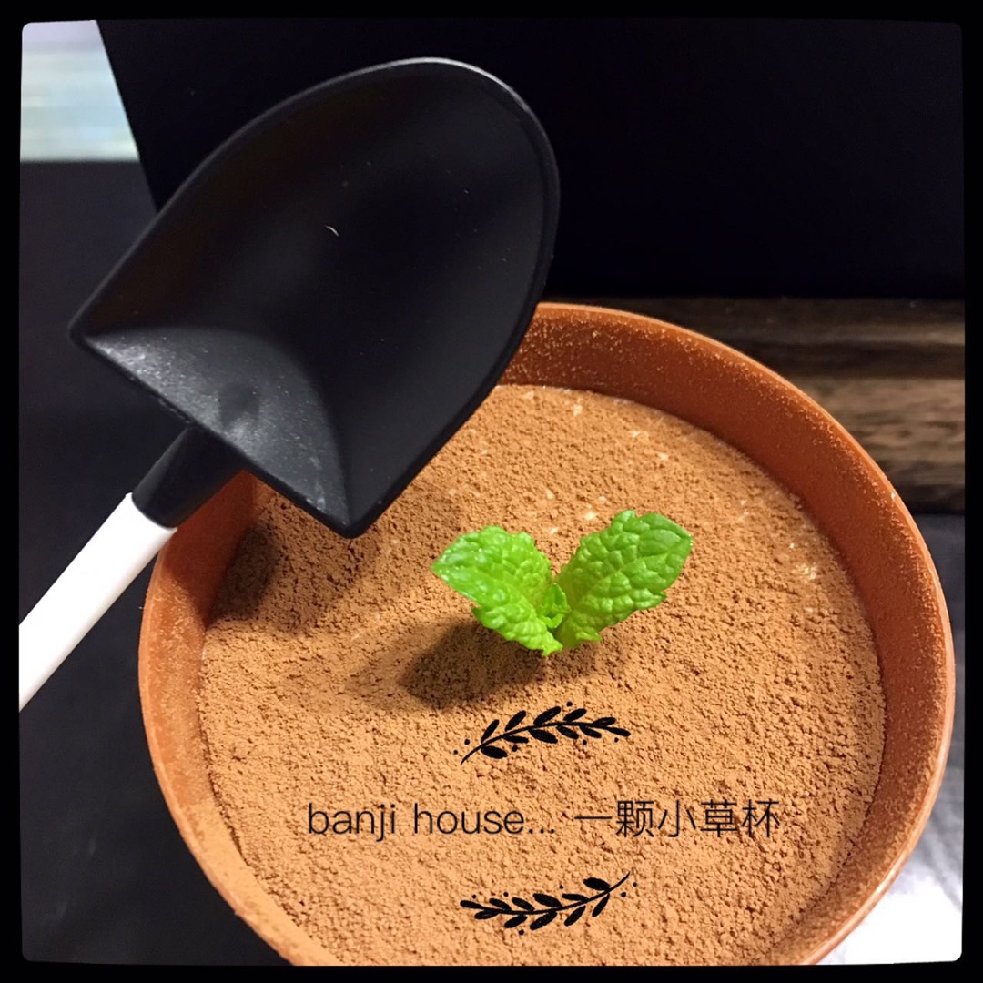 《Tinrry+》提拉米苏