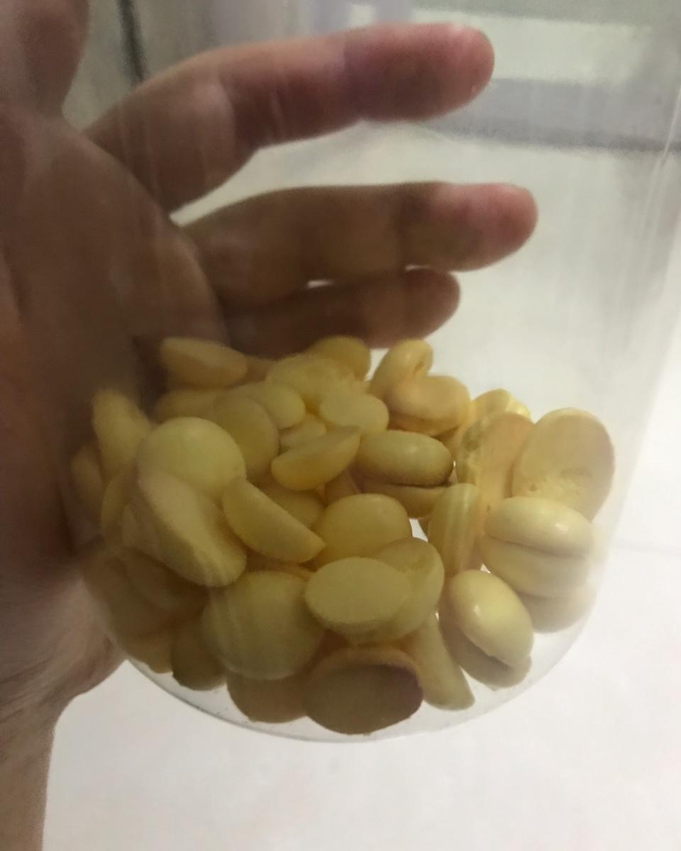 入口即化的溶豆