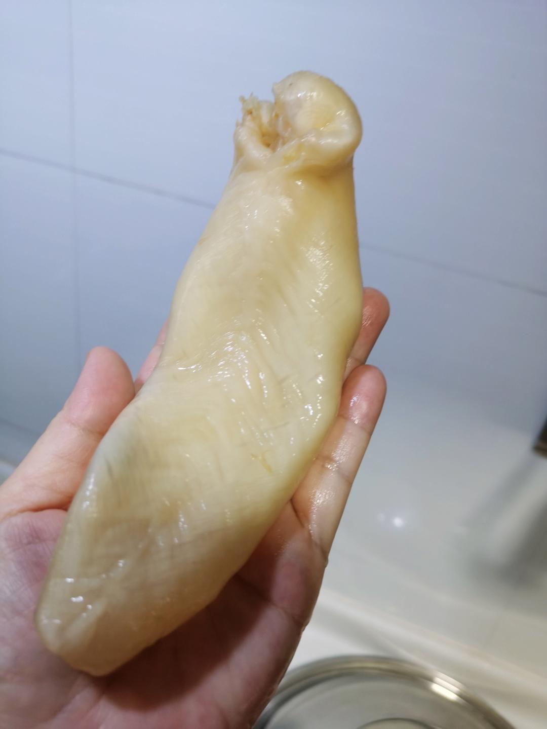 花胶泡发（新手学得会）